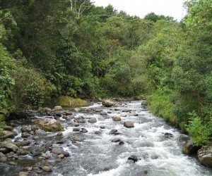 Otún River. Source: Flickr.com By guepardo lento